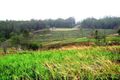 Property photo of LOT 32 Maryborough-Biggenden Road Aramara QLD 4620