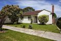 Property photo of 17 Knight Avenue Herne Hill VIC 3218