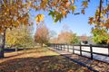 Property photo of 970 Peats Ridge Road Central Mangrove NSW 2250