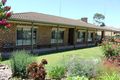 Property photo of 23 Bruce Avenue Keith SA 5267