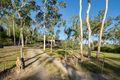 Property photo of 286 Sugarloaf Road Riordanvale QLD 4800