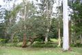 Property photo of 23 Ruskin Rowe Avalon Beach NSW 2107