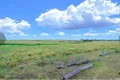 Property photo of 45 Lobegeiers Road Bucca QLD 4670