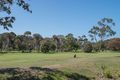 Property photo of 45-47 Beach Crescent Greens Beach TAS 7270