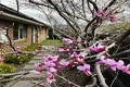 Property photo of 26 McMahon Avenue Armstrong Creek VIC 3217