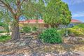 Property photo of 31 Bayvue Crescent Ridgehaven SA 5097