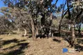 Property photo of 19 Campbell Street Eaglehawk VIC 3556