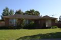 Property photo of 1 Greenlaw Crescent Berwick VIC 3806
