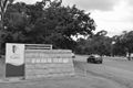 Property photo of 3 Ayr Court Berwick VIC 3806