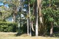 Property photo of 32 Stuart Street Mullumbimby NSW 2482