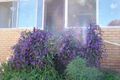 Property photo of 17 William Street Junee NSW 2663