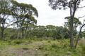 Property photo of 51 Emmett Road Crafers West SA 5152