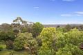 Property photo of 13 Angophora Crescent Forestville NSW 2087