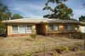 Property photo of 11 Below Street Nuriootpa SA 5355