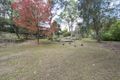 Property photo of 9 Sassafras Gully Road Springwood NSW 2777