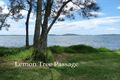 Property photo of 19 Morton Avenue Lemon Tree Passage NSW 2319