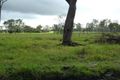 Property photo of 137 Euluma Creek Road Julatten QLD 4871