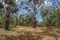 Property photo of 10501 Tasman Highway Little Swanport TAS 7190