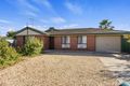 Property photo of 41 Brooks Avenue Willaston SA 5118