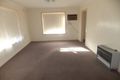 Property photo of 13 Elmore Street Hamilton VIC 3300