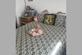 Property photo of 38 Melbourne Street West Rockhampton QLD 4700