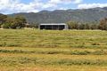 Property photo of 21 Wisemans Arm Road Garthowen NSW 2345