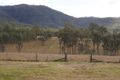 Property photo of 1597-1613 Grandchester Mount Mort Road Mount Mort QLD 4340