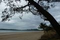Property photo of 1 Redcliffe Avenue Seaforth QLD 4741