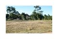 Property photo of 5 Macadam Court Palmwoods QLD 4555