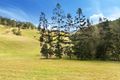 Property photo of 110 Carbine Road Upper Brookfield QLD 4069