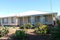 Property photo of 22 Fifth Street Cleve SA 5640