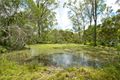 Property photo of 26-36 Redwood Circle Glenlogan QLD 4280