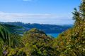 Property photo of 36 Olola Avenue Vaucluse NSW 2030