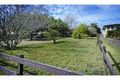 Property photo of 25 Birkalla Street Bulimba QLD 4171