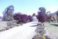 Property photo of 68 Urangera Drive Daruka NSW 2340