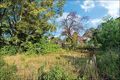 Property photo of 19 Doris Hirst Place West Pennant Hills NSW 2125