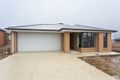 Property photo of 68 Canopy Avenue Alfredton VIC 3350