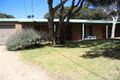 Property photo of 49 Marcia Avenue Rye VIC 3941
