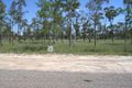 Property photo of 12 Blackview Avenue Black River QLD 4818