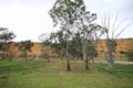 Property photo of 29 Rob Loxton Road Walker Flat SA 5238