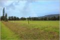 Property photo of 125 Minnamurra Falls Road Jamberoo NSW 2533