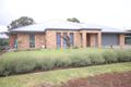 Property photo of 57 Portland Street Penola SA 5277