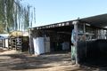 Property photo of 12 Cameron Street Inverell NSW 2360
