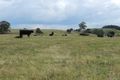 Property photo of 787 Crookwell Road Kingsdale NSW 2580