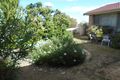 Property photo of 1 Swan Avenue Collie WA 6225