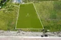 Property photo of 8935 The Point Circuit Hope Island QLD 4212