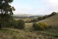 Property photo of 33 Knights Track Springfield VIC 3434