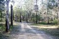 Property photo of 273 Greensward Road Tamborine QLD 4270