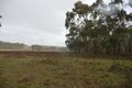 Property photo of 20 Bliss Road Dereel VIC 3352