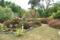 Property photo of 16 Verdun Street Crib Point VIC 3919